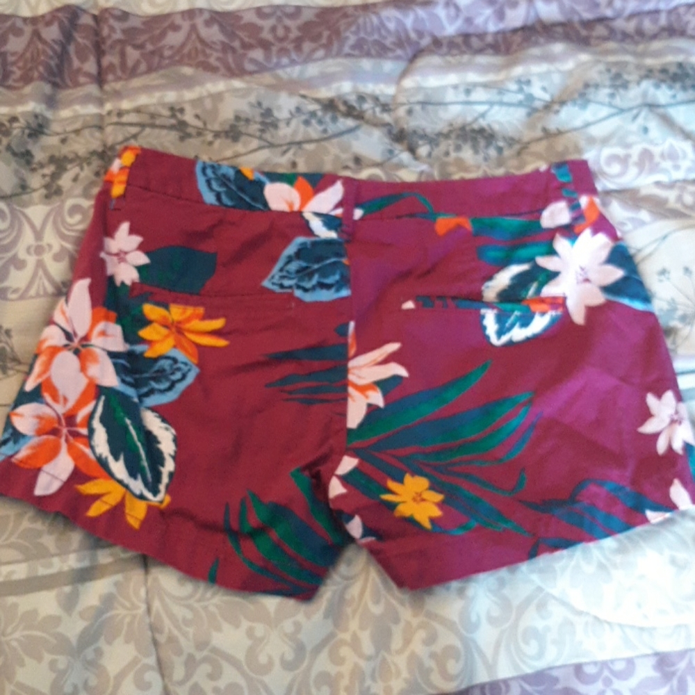 Shorts - Picture 2 of 4